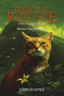 Pisicile Razboinice. Cartea a XXVIII-a: Zorii clanurilor: Steaua stralucitoare