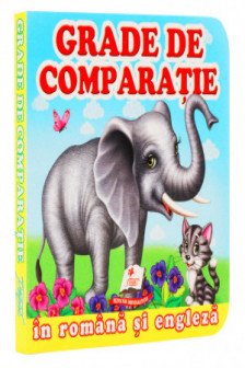 Primele notiuni Grade de comparatie
