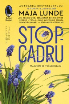 Stop-cadru