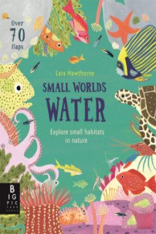 Small Worlds: Water  Board book