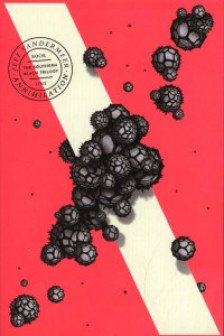 Southern Reach: Annihilation (Book 1)