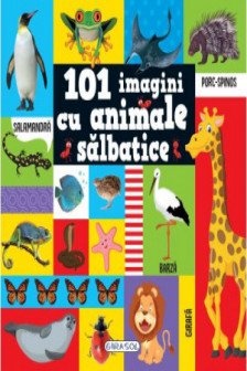 101 imagini cu animale salbatice