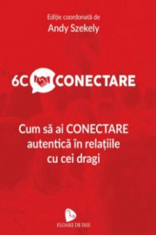 6C Conectare