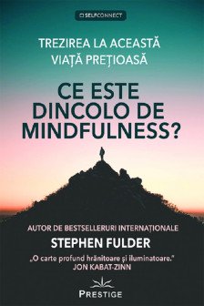 Ce este dincolo de Mindfulness?