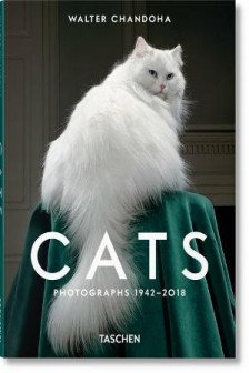 Walter Chandoha. Cats. Photographs 1942–2018