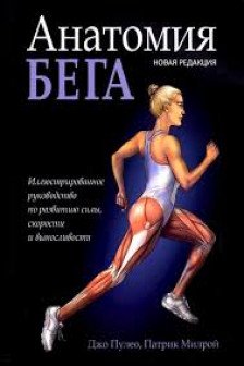 Анатомия бега