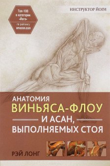 Анатомия виньяса-флоу и асан выполняемых стоя