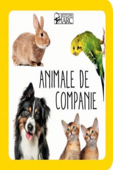 Animale de companie . White Star