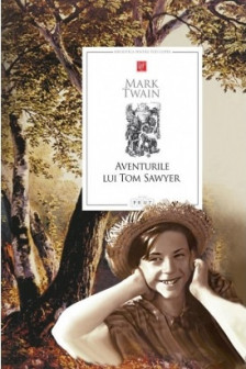 Aventurile lui Tom Sawyer