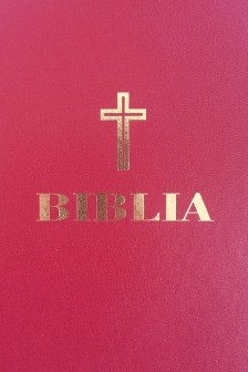 Biblia 053 simpla