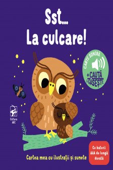 Cartea mea cu ilustratii si sunete Sst La culcare