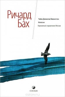 Чайка. Иллюзии. Карманный справочник Мессии