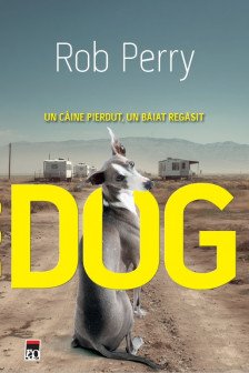 DOG. Un caine pierdut  un baiat regasit
