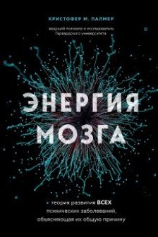 Энергия мозга. Теория развития всех психических заболеваний объясняющая их общую причину