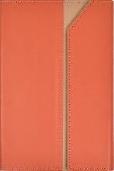 Ежедневник недатированный  ESCALADA