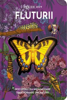 Fluturii – model 3D