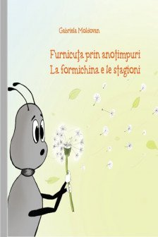 Furnicuta prin anotimpuri