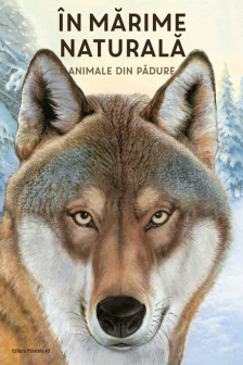 In marime naturala. Animale din padure (editie hardcover)