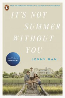 It's Not Summer Without You (Book 2) (TV tie in)