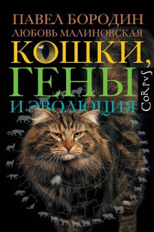 Кошки гены и эволюция