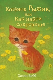 Котёнок Рыжик или Как найти сокровище