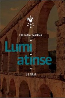 Lumi atinse jurnal