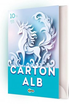 Mapa Carton alb A4 10 foi