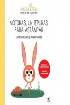 Motoras un iepuras fara astampar