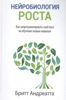 Нейробиология роста: как запрограммировать свой мозг на обучение новым навыкам