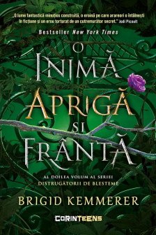 O inima apriga si franta (vol.2 din seria Distrugatorii de blesteme)