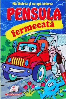 Pensula fermecata Auto de teren