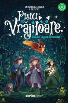 Pisici si vrajitoare. Boacane magii si alte minunatii