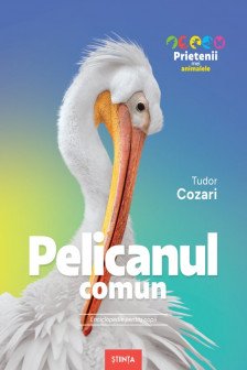 Prietenii mei animale. Pelicanul