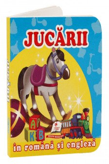 Primele notiuni Jucarii