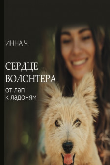 Сердце волонтера