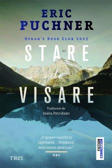 Stare de visare