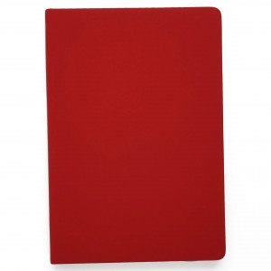 Agenda nedatata A5 152 foi Paragraph. Красный ЕКП52115205