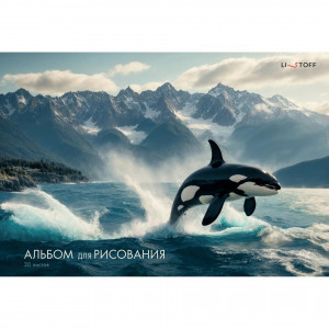 Album desen 30 foi Косатка А2Л302623