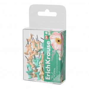 Pioneze-Cuie-pastel 62054 ErichKrause Bloom, Mint (PET-box 50 pcs)