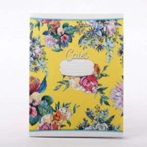 CAIET 24 foi linie (20)