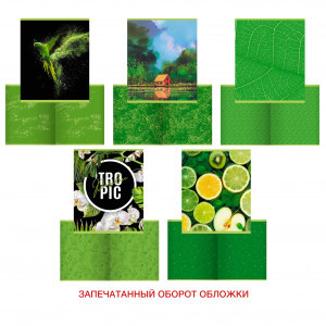 Caiet A5 48f patr color Green mix ТК488535