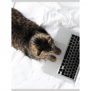 Caiet conspecte A4 60f Т4604993 Домашний офис patr