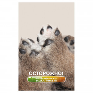 Carnet A5 40 foi patr Лапки БСК540169