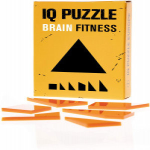 IQ Puzzle "Triangle" art.289