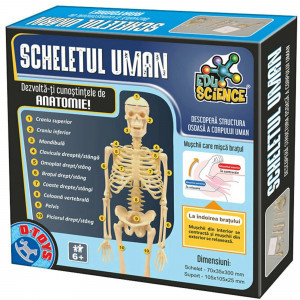 Joc educativ Scheletul Uman 76939