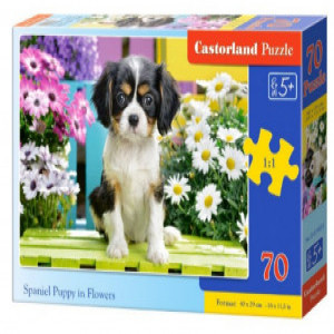 Puzzle CASTOR 70 midi