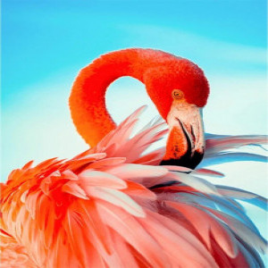 Pictura cu diamante (JSFH85873) Яркий розовый фламинго Strateg  40х50 см