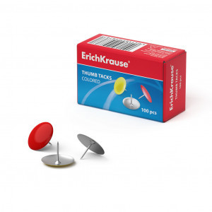 Pioneze-color 24876 ErichKrause assorted (box 100 pcs)