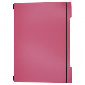 Set 2 Caiete A4 48f DoubleBook. Вересковый ТПДБ496225 patr