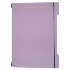 Set 2 Caiete A4 48f DoubleBook. Лавандовый ТПДБ496223 patr